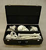 Disarticulated human skeleton, storage and carry case