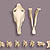 Disarticulated Horse Skeleton