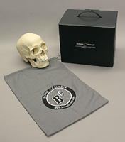 Storage Bag For Skulls BA-100