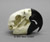 Hyacinth Macaw Skull