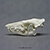Haitian Solenodon Skull