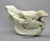 White Rhino Skull Without Horns