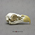 Bald Eagle Skull