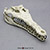 Gavialosuchus Skull