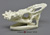Parson's Chameleon Skull