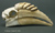 Wreathed Hornbill Skull Replica