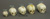 Human Fetal Skull Set of 5 Skulls