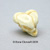 Fetal Human Skull 13 Weeks BC-215