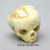 Fetal Human Skull 17 Weeks BC-218