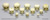 Human Fetal Skulls Set of 12 BC-228-SET