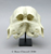 Two-faced Calf (Craniofacial duplication)