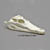 6 1/2 Inch Saltwater Crocodile Skull BC-278