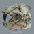 Bone Clones Catalog Fossil Cats