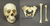 Female African-American Set
