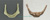 Comparative Set Hyoids Neanderthal and Modern Human