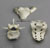 Human 65-year-old Male Manubrium, Sacrum, Vertebra Set