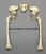 Human Female 39-year-old Postcranial Set FM-534-SET