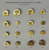 Vertebral Centrum Union Set