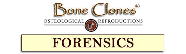 Catalog of Forensic Specimens