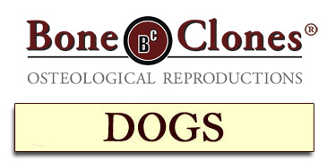 Bone Clones&reg; Catalog of Dogs