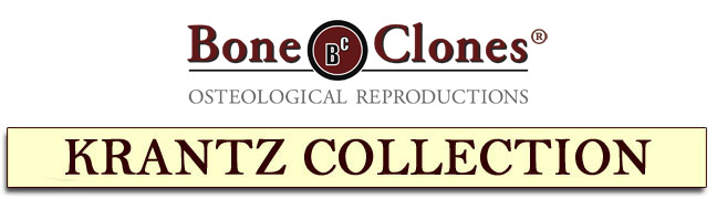 Bone Clones&reg; Catalog of the Grover Krantz Collection