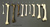 Set of 10 Primate Femurs
