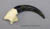 Great Horned Owl Talon
