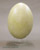 Fossil Giant Elephant Bird Egg