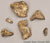 Australopithecus afarensis,