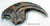 Allosaurus claw Replica