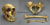 Neanderthal Skull Pelvis Femur and Humerus Set