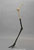 Wattled Crane Leg