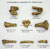 Australopithecus anamensis Cranial and Post Cranial Set