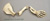 Manatee Forelimb Set
