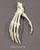 Articulated Gibbon Foot