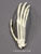Articulated Gibbon Hand