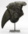 Giant Ground Sloth Claw on Display Stand