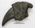 Giant Ground Sloth Claw