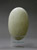 Brown Kiwi Egg