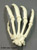 Articulated Gorilla Hand