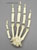 Semi-articulated Gorilla Hand