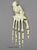 Semi-articulated Gorilla Foot