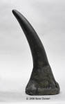 White Rhinoceros Horn Large (Replica) KO-221L