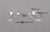 Human Ossicles Set of 6 KO-234-SET