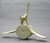 Humpback Whale Vertebra and Intervertebral Discs
