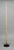 Narwhal Tusk