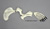 Seal Forelimb KO-285