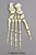 Semi-articulated Chimp Foot