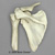 Human Shoulder Joint KO-331