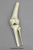 Human Knee Joint KO-333